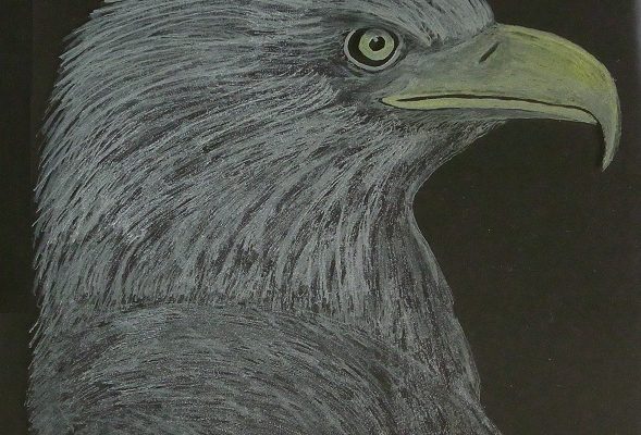 AlanBrimson-Eagle