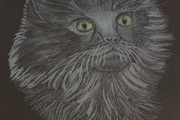 AlanBrimson-Kitty