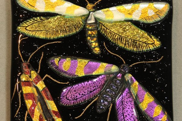 AmandaLawrence-ThreeMicromoths