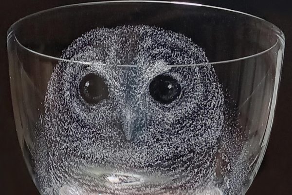 AmiKitsuda-Owl-1