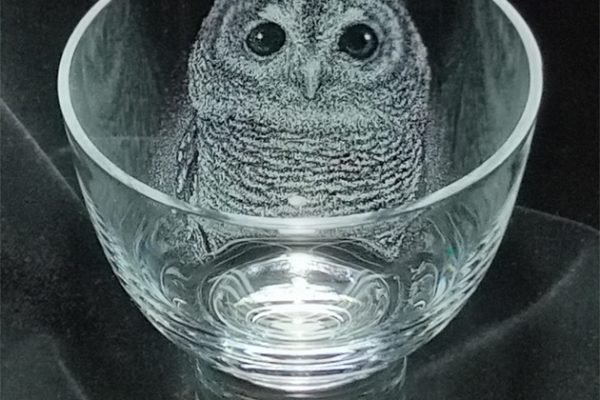 AmiKitsuda-Owl-2