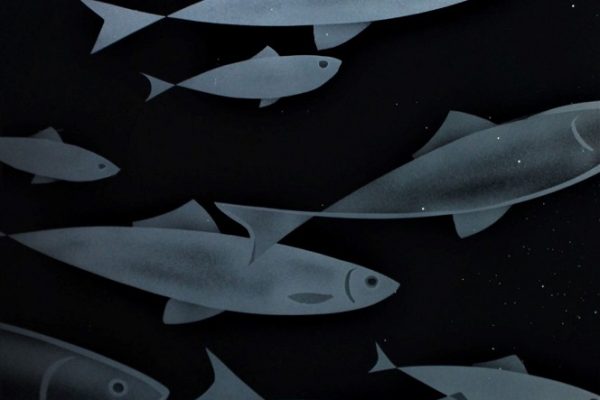 DenisMann-Fish
