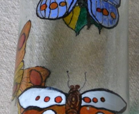 HerbieDavies-Moths&Butterflies-view1