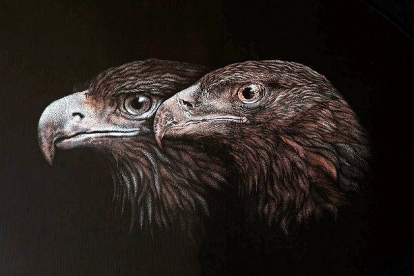 IvanaZivkovic-Feather-detail