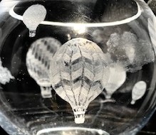 JaniceDenley-BalloonFestival(photo2)