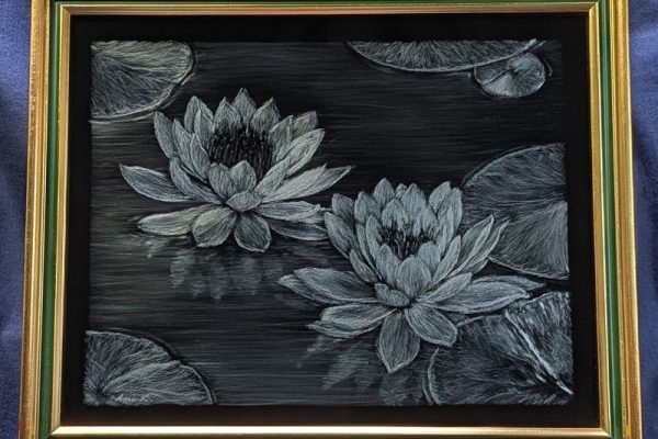 AmiKitsuda-WaterLilies-PhotoAKItsuda