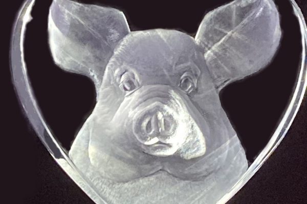JunkoEager-PigFacePaperweight-photoJEager